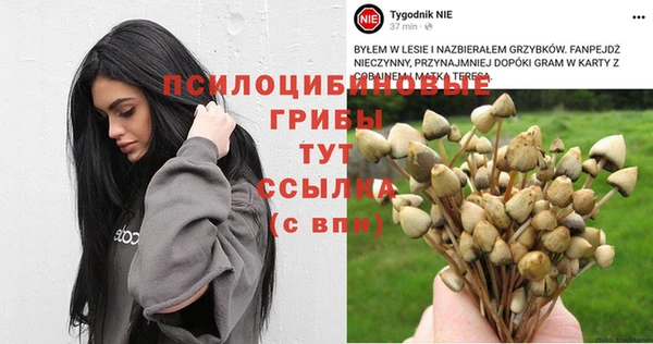 героин Алзамай