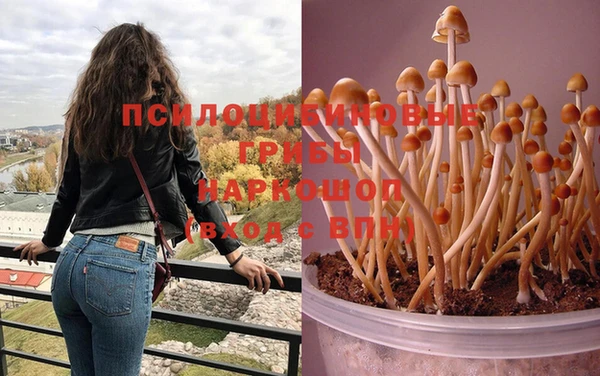 МДМА Армянск