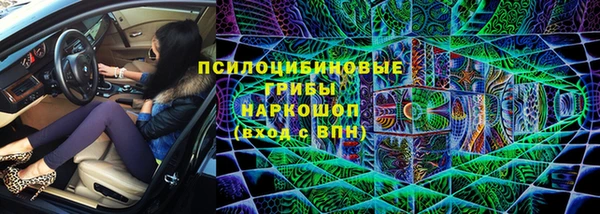 эйфоретик Аркадак