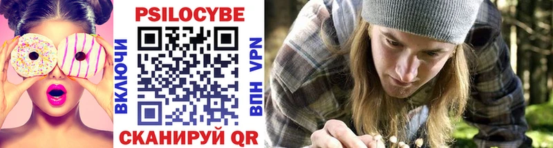 blacksprut сайт  купить наркотики цена  Новороссийск  Псилоцибиновые грибы Psilocybe 