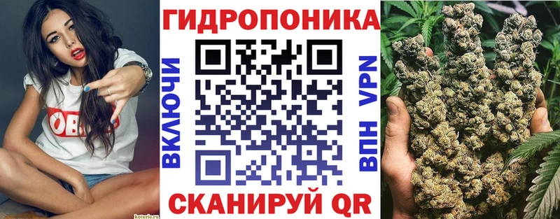 Марихуана MAZAR  купить закладку  Новороссийск 